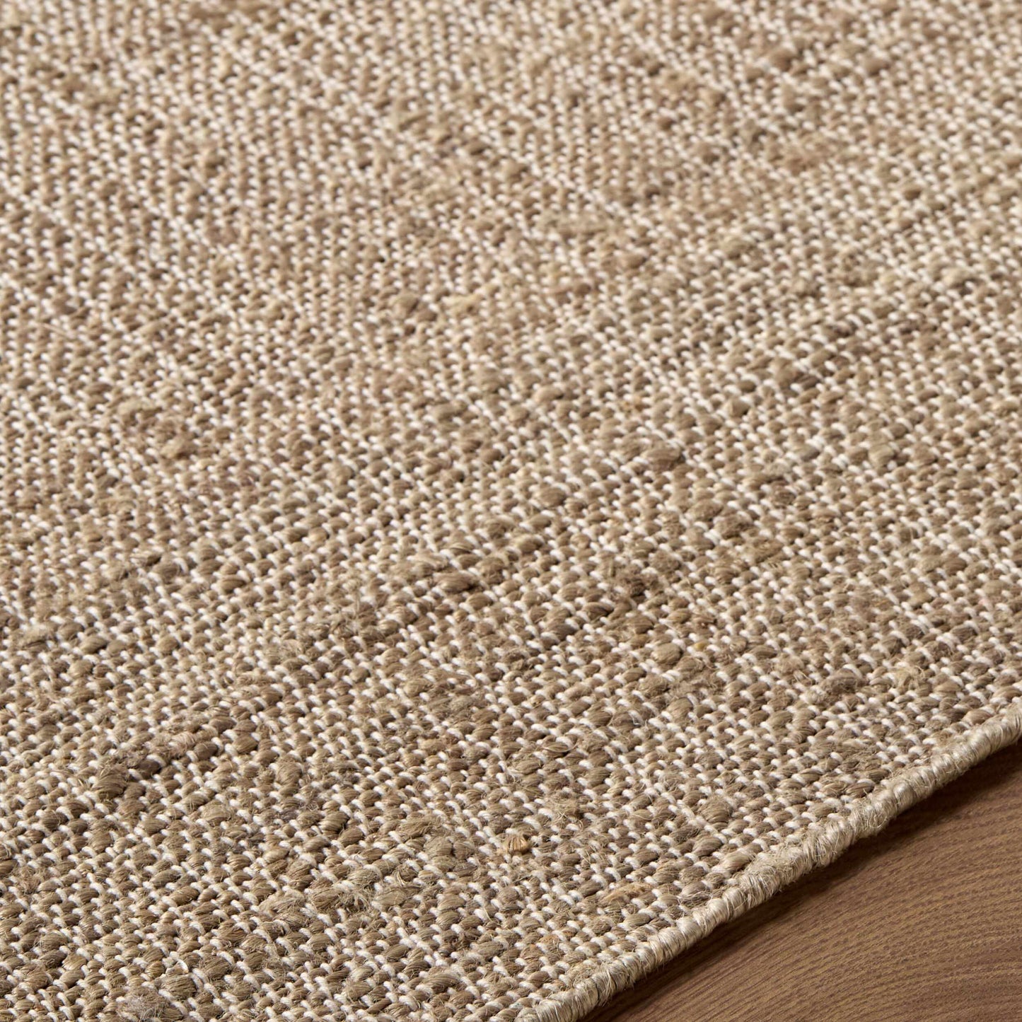 Dabney Brown Ombre Area Rug