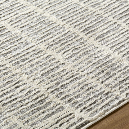 Aricin Gray Area Rug